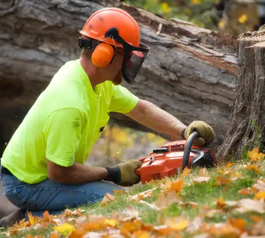 tree services East Helena